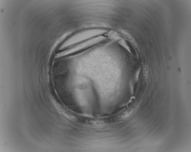 X0000076070395200610152233