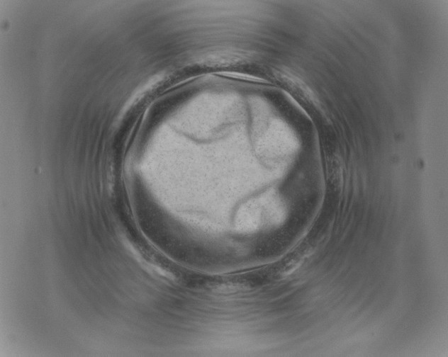 X0000076070400200610152233