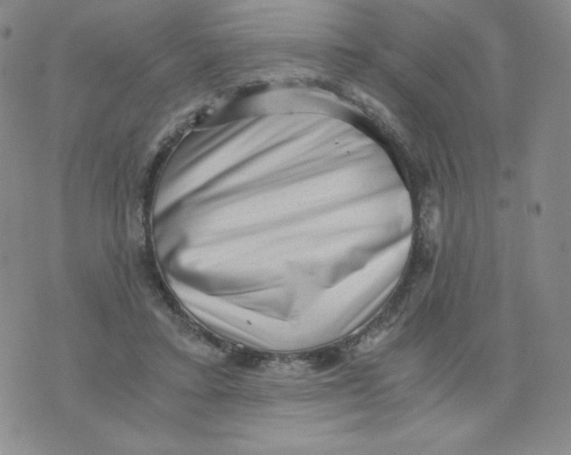 X0000076070403200610152233