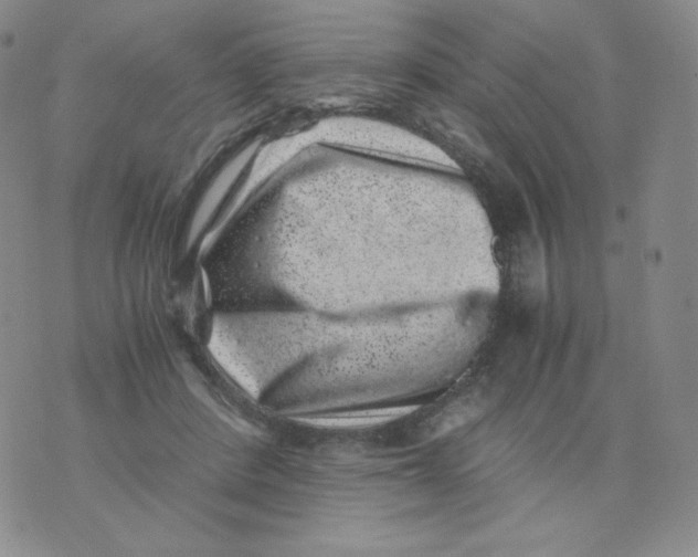 X0000076070408200610152232