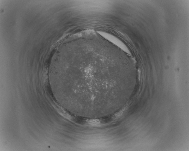 X0000076070409200610152232