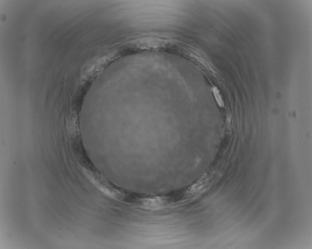 X0000076070411200610152232