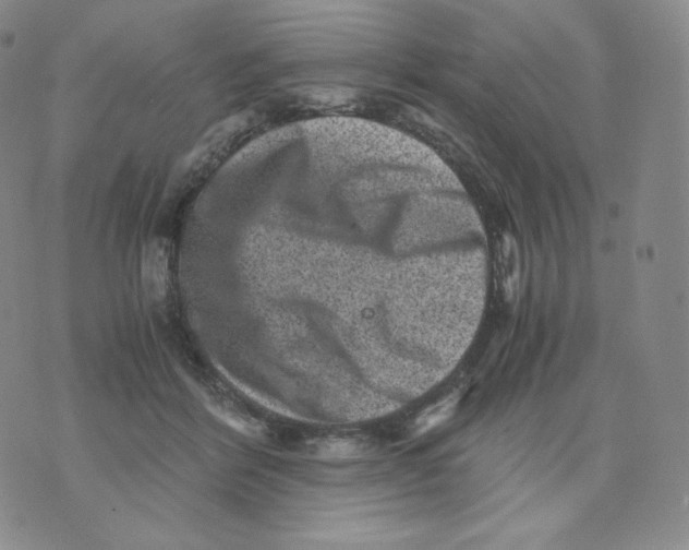 X0000076070412200610152232