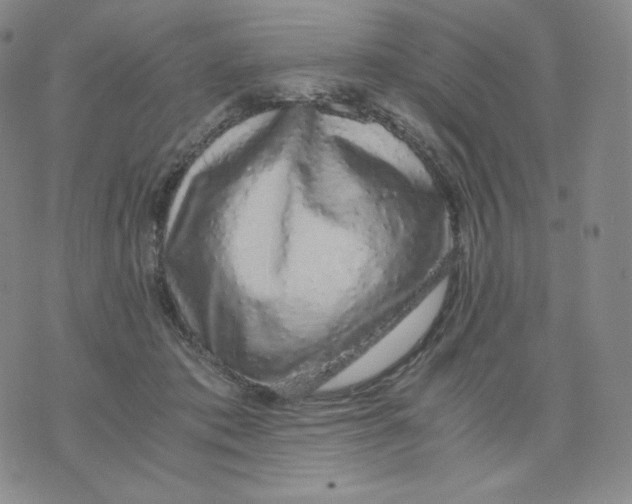 X0000076070413200610152232