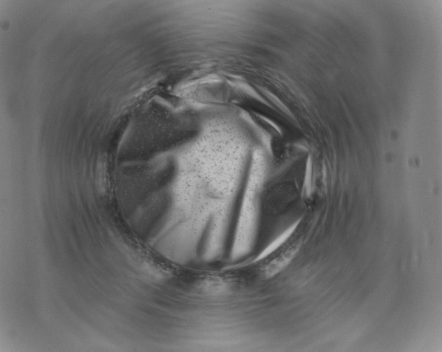 X0000076070416200610152232