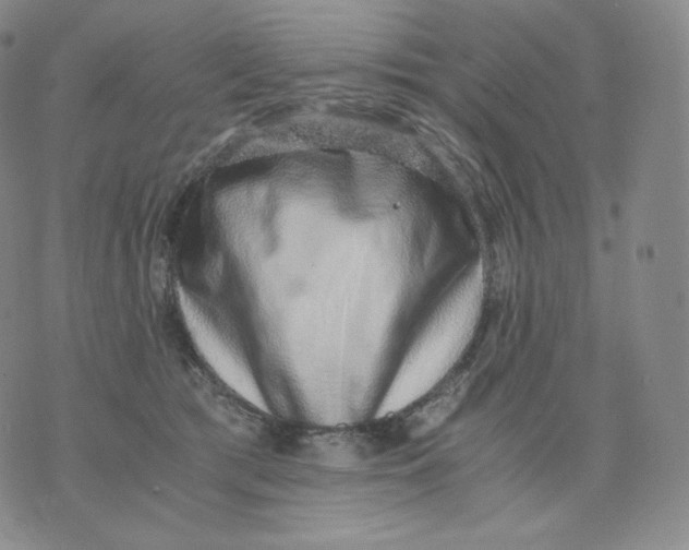 X0000076070417200610152232