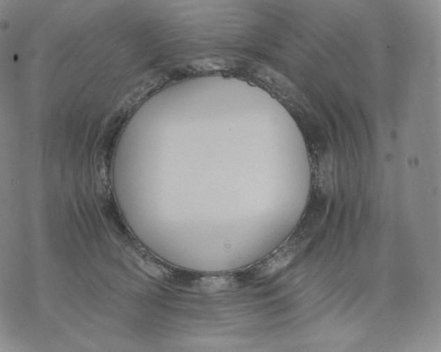 X0000076070418200610152232