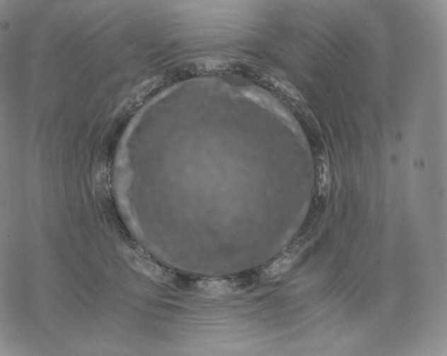 X0000076070419200610152232