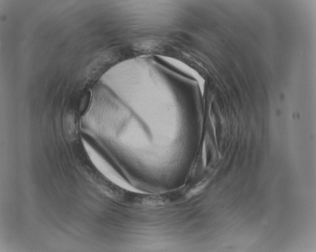 X0000076070420200610152232