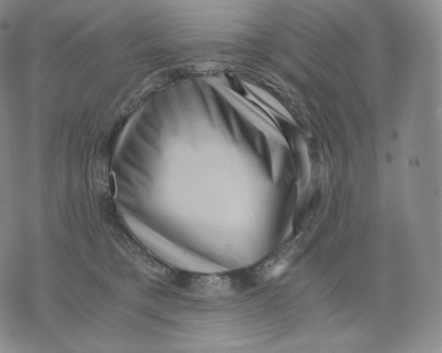 X0000076070421200610152232