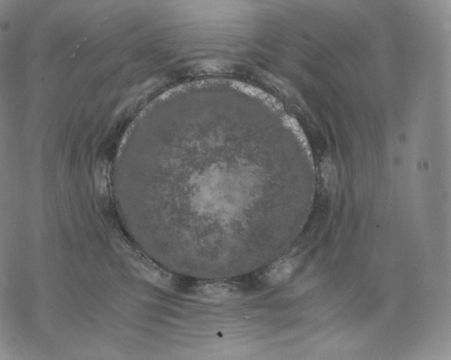 X0000076070423200610152232