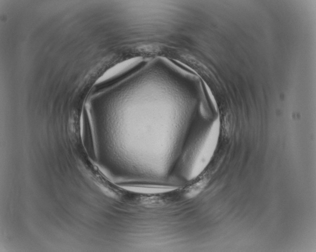 X0000076070424200610152232