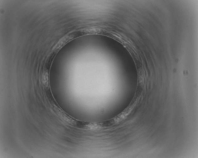 X0000076070425200610152232