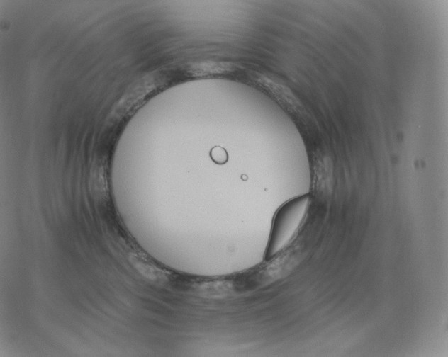 X0000076070426200610152232