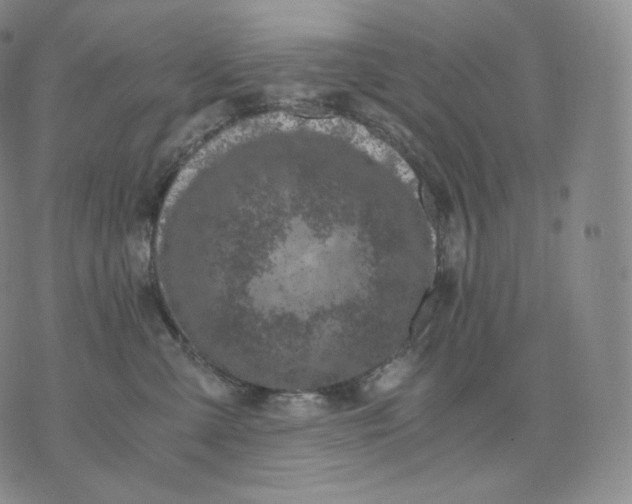 X0000076070427200610152232