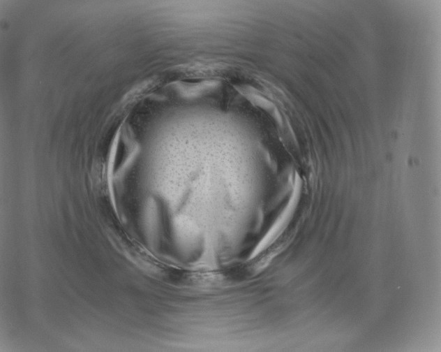 X0000076070429200610152232