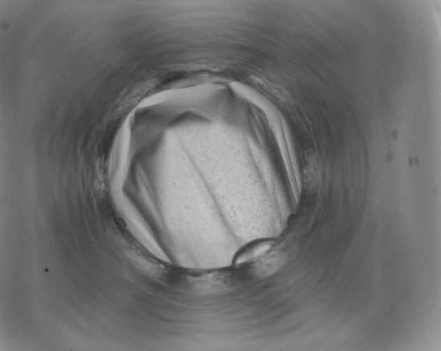 X0000076070430200610152232