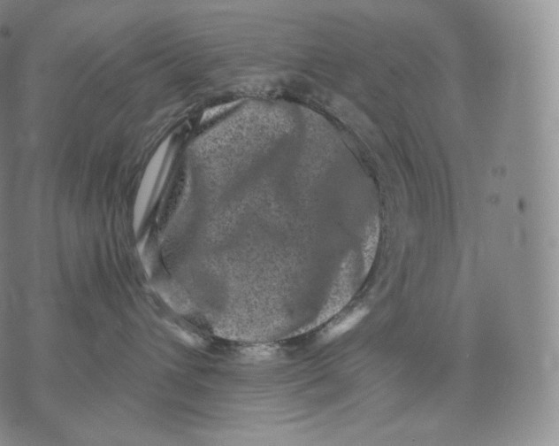 X0000076070432200610152232