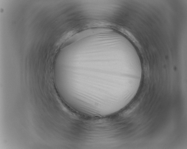 X0000076070433200610152231