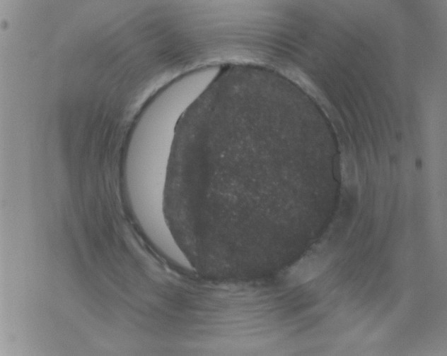 X0000076070434200610152231