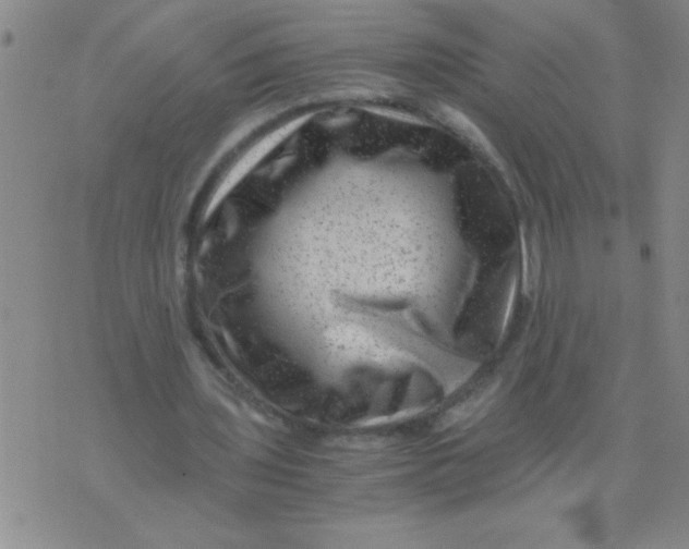 X0000076070435200610152231