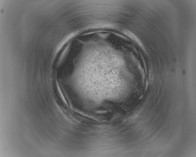 X0000076070436200610152231