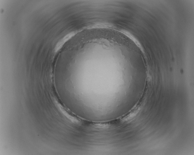 X0000076070437200610152231