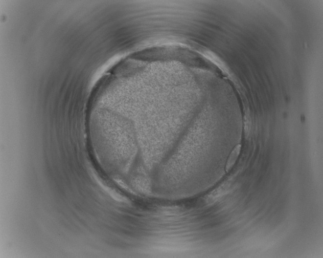 X0000076070438200610152231