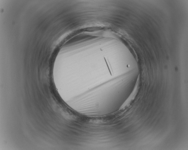 X0000076070440200610152231