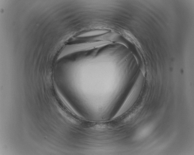 X0000076070441200610152231