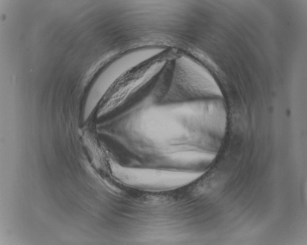 X0000076070442200610152231