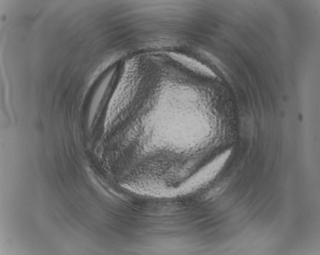 X0000076070443200610152231