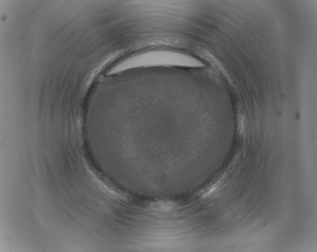 X0000076070444200610152231