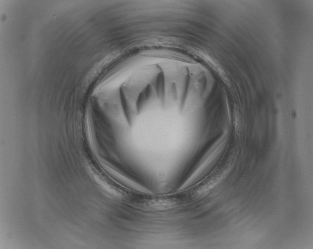 X0000076070445200610152232