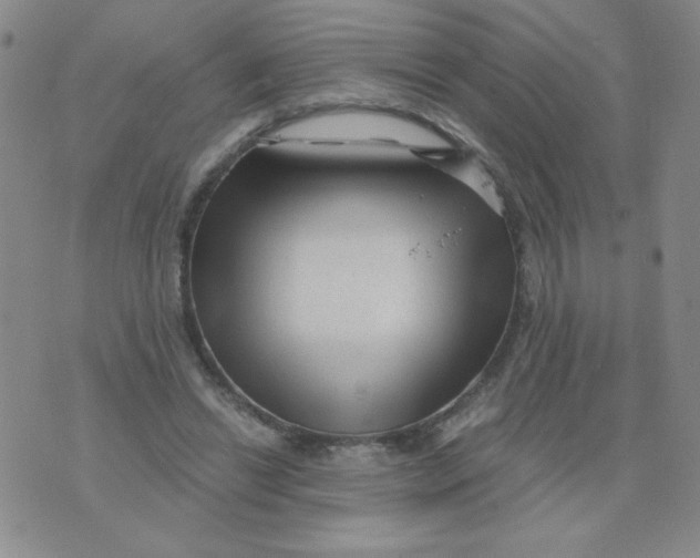 X0000076070446200610152232