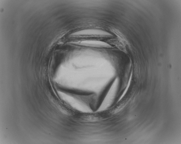 X0000076070449200610152232