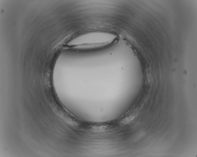 X0000076070450200610152232