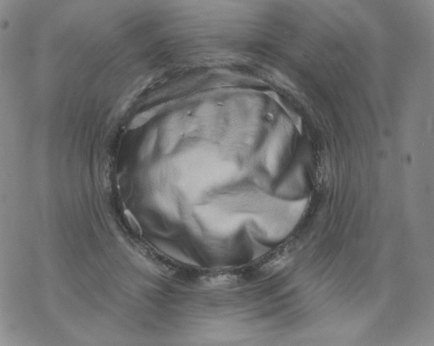 X0000076070452200610152232