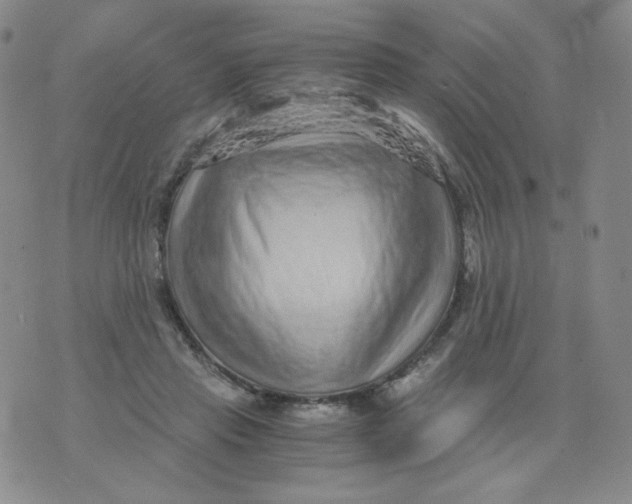 X0000076070453200610152232