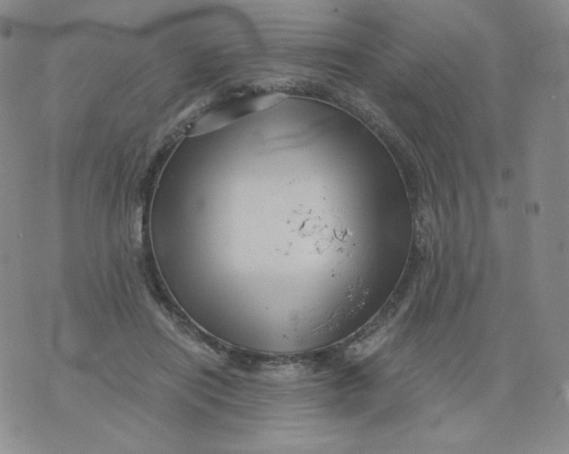 X0000076070454200610152232