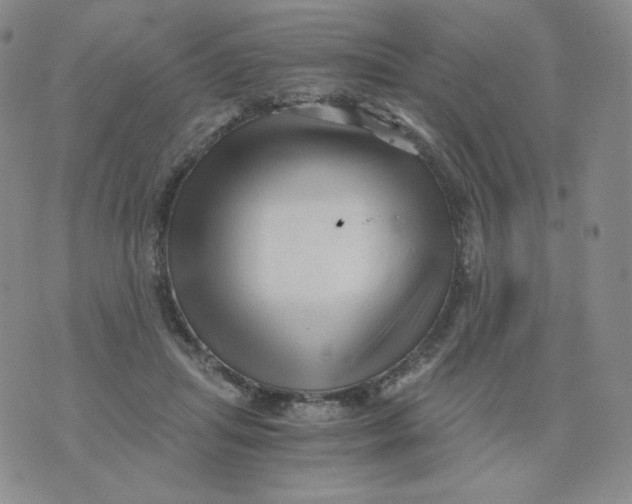 X0000076070455200610152232