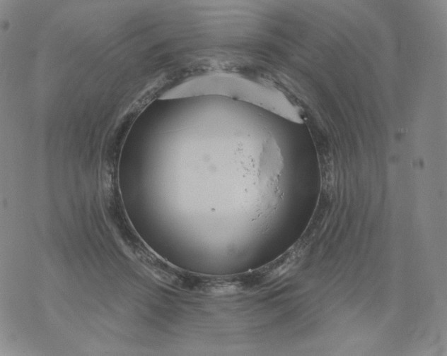 X0000076070456200610152232