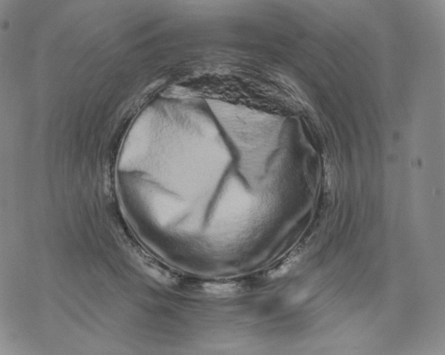 X0000076070457200610152232