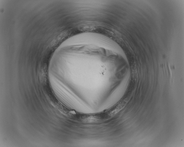 X0000076070460200610152232