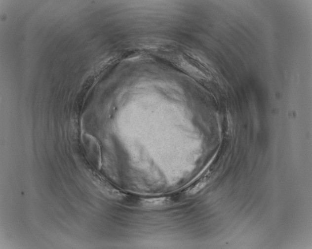 X0000076070461200610152232