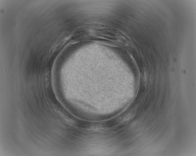 X0000076070462200610152232