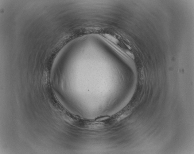 X0000076070463200610152232