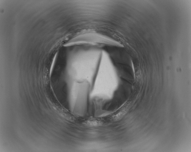 X0000076070464200610152232