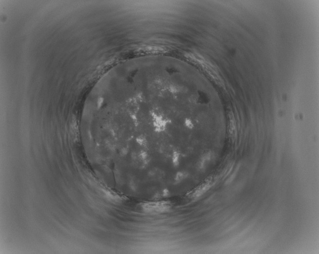 X0000076070465200610152232