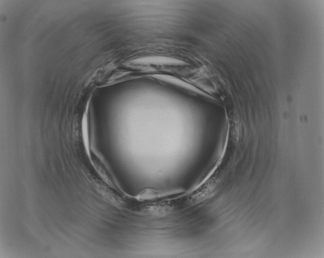 X0000076070466200610152232